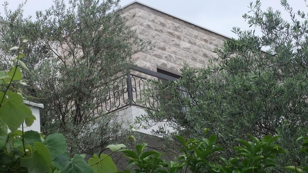 Apartments Minja Nerin Petrovac 外观 照片