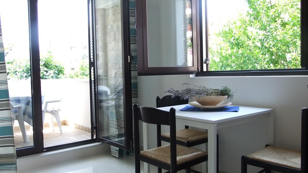 Apartments Minja Nerin Petrovac 外观 照片