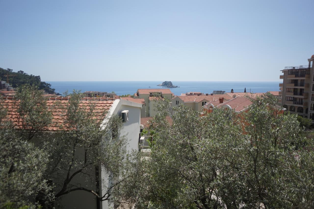 Apartments Minja Nerin Petrovac 外观 照片