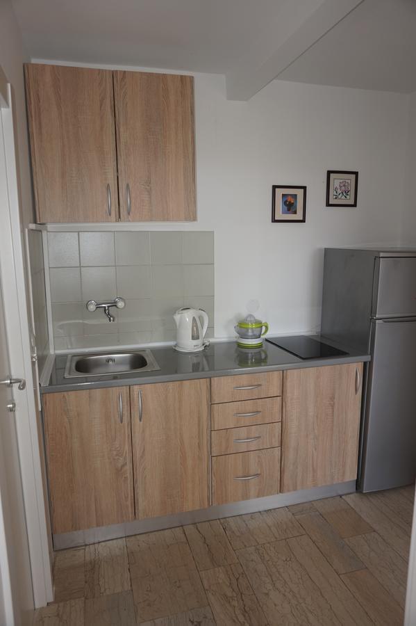 Apartments Minja Nerin Petrovac 外观 照片