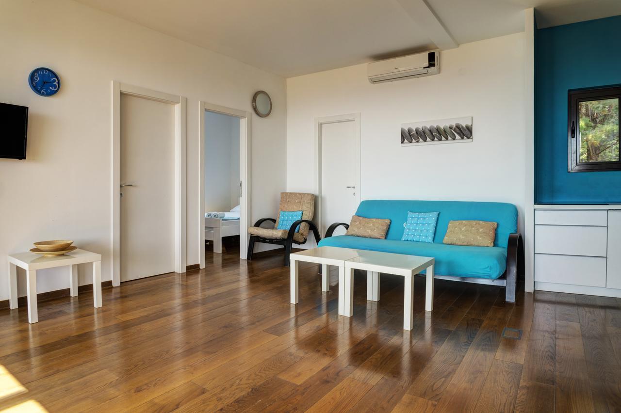 Apartments Minja Nerin Petrovac 外观 照片